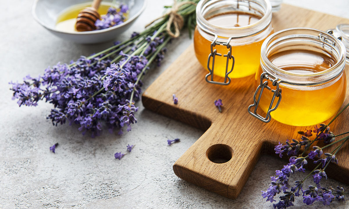 Prvi specijalizirani tečaj Apiturizam u Hrvatskoj za pčelare, pružatelje usluga u agroturizmu i turističke vodiče