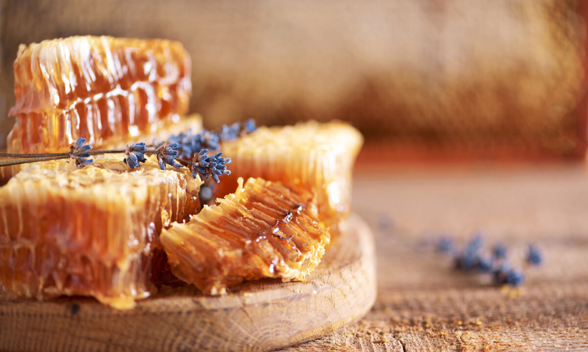 Tečaj APITERAPIJA I APITURIZAM (tečaj APITERAPIJA II)