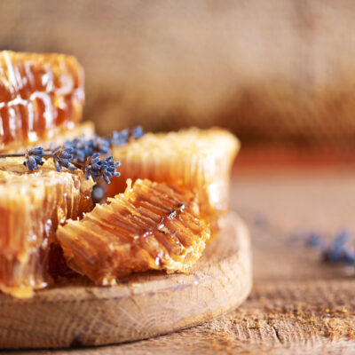 Tečaj APITERAPIJA I APITURIZAM (tečaj APITERAPIJA II)