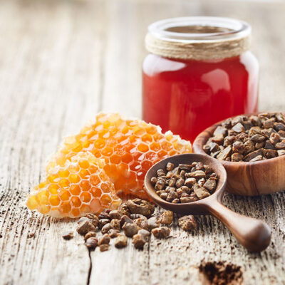 6. HRVATSKI SIMPOZIJ O VRIJEDNOSTI PČELINJIH PROIZVODA U OČUVANJU ZDRAVLJA