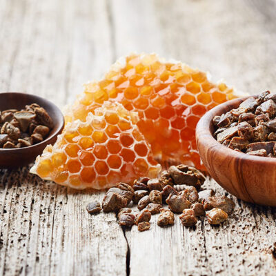 TEČAJ APITERAPIJA III