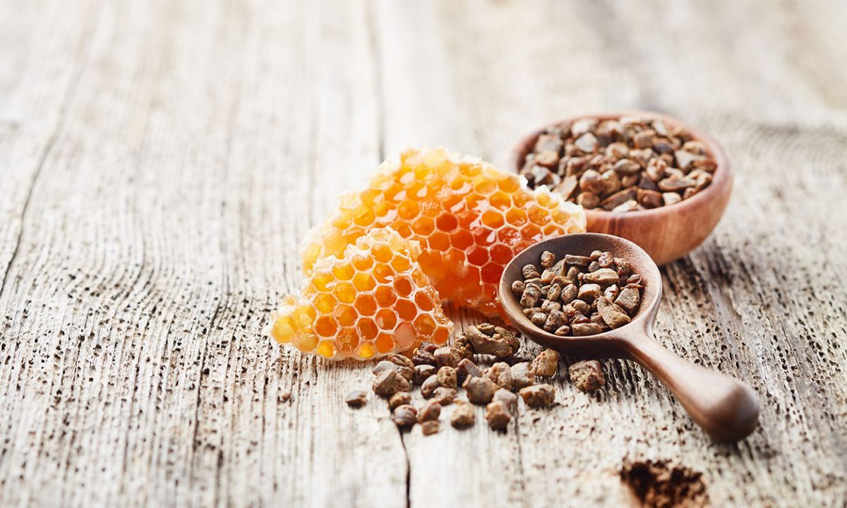 TEČAJ: Apiterapija IV