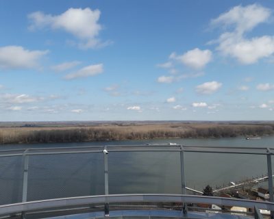 Hrvatsko apiterapijsko društvo