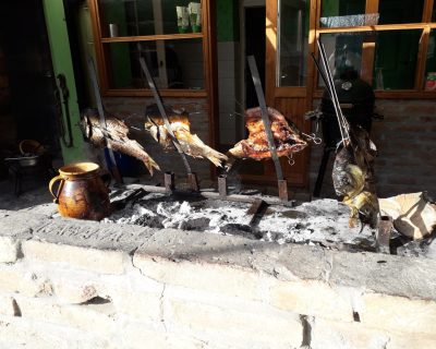 Hrvatsko apiterapijsko društvo