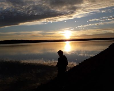 Hrvatsko apiterapijsko društvo