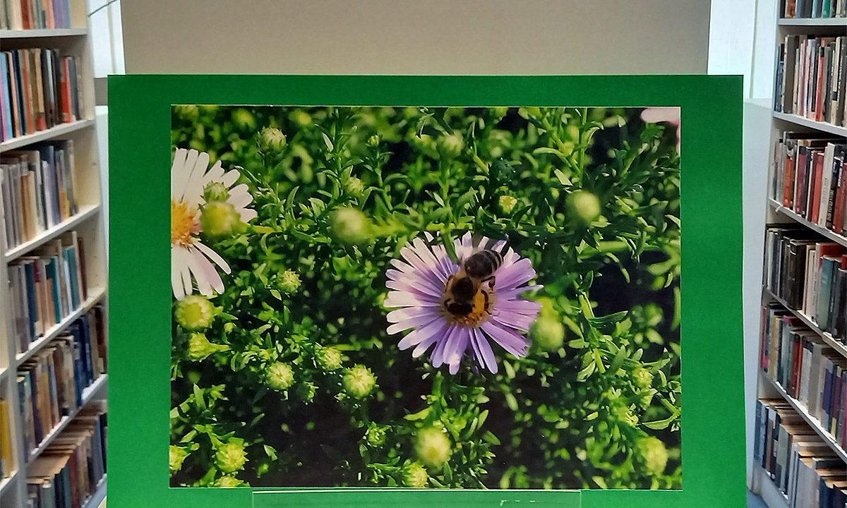 Izložba fotografija Zagreb – nektar-bar