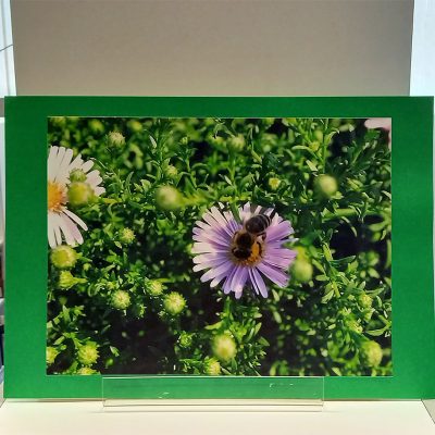 Izložba fotografija Zagreb – nektar-bar