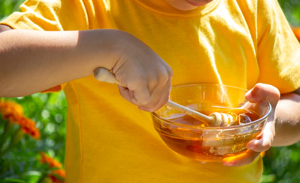 Poziv na sudjelovanje – Konferencija Apiterapija za djecu