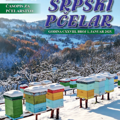 NOVO: Digitalni časopis Srpski pčelar dostupan za čitanje na latinici u Hrvatskoj